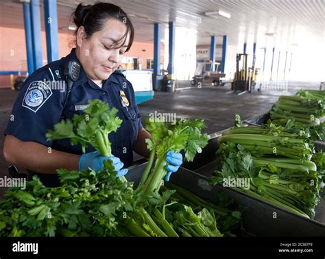 Inspector de aduanas fotografías e imágenes de alta resolución Alamy