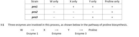 Bio Chpt 16 17 Flashcards Quizlet