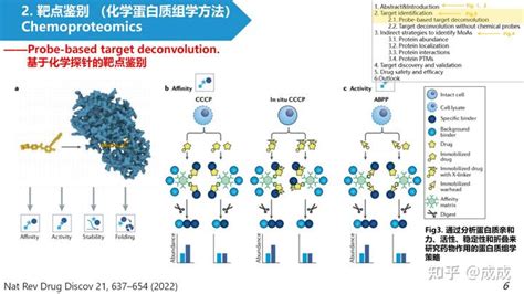 文献解读 基于质谱的蛋白质组学在药物发现中的新兴作用the Emerging Role Of Mass Spectrometry Based