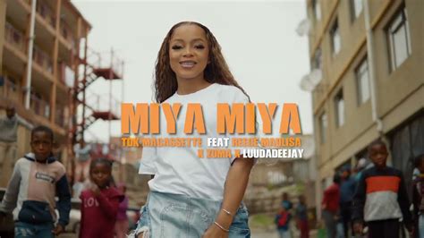 Tdk Macassette Miya Miya Featuring Reece Madlisa Zuma And Luuhdedeejay Official Music Video