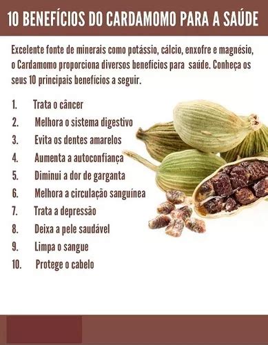 Cardamomo O Que E Para Que Serve Fatos Curiosos