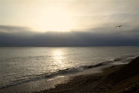 Free Images Beach Sea Coast Sand Ocean Horizon Bird Cloud Sky