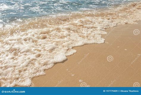 Onda De Espuma Branca Na Areia Da Praia Fundo De Textura Marinha Imagem