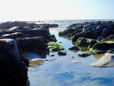 Images Gratuites la nature plan d eau côte mer Roche rive