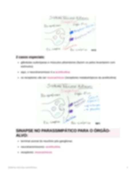 SOLUTION Sistema nervoso autônomo Studypool