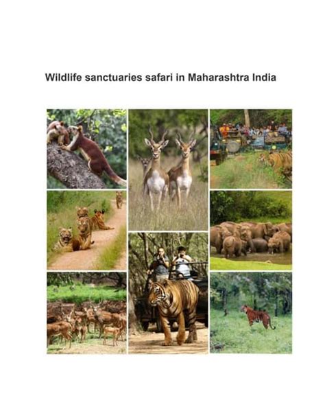 Wildlife Sanctuaries Safari In Maharashtra Pdf Free Download