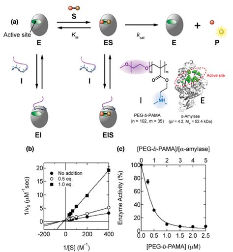 A Schematic Illustration Of Noncompetitive Inhibition Of Amylase