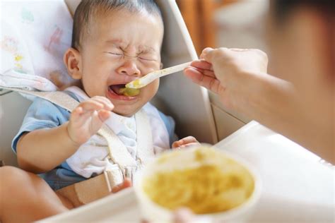 No S Qu Hacer Mi Bebe No Quiere Comer Nada Mam Y Maestra