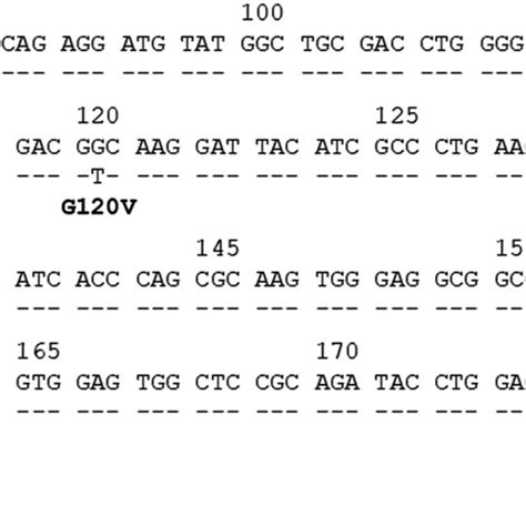 Alignment Of The Sequence Of Exon Of Hlac With The