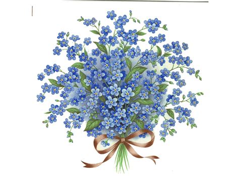 Рисунок незабудки (много фото) - drawpics.ru