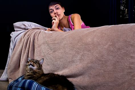 Is Your Cat Meowing At Night Reasons Why And What To Do