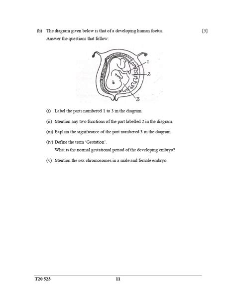 Icse Biology Question Paper For Class