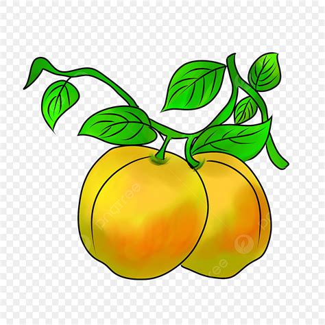 Yellow Peach Clipart Vector Hand Painted Peach Yellow Peach Yellow