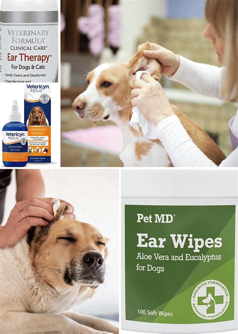 Best Dog Ear Cleaner