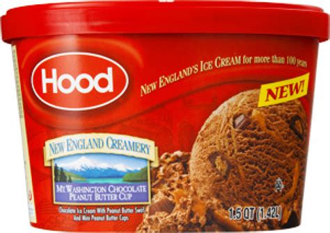 Hood New England Creamery Mt Washington Chocolate Peanut Butter Cup