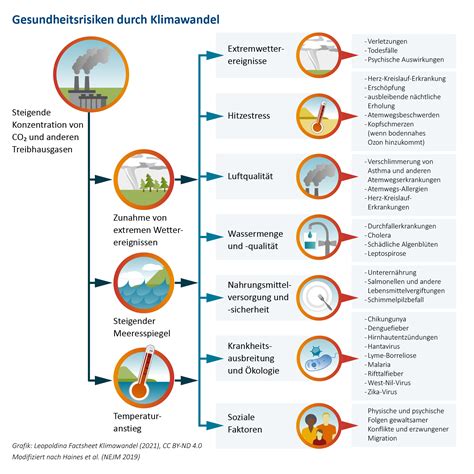 Klimawandel Folgen