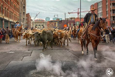 National Western Stock Show and Rodeo - Totochie