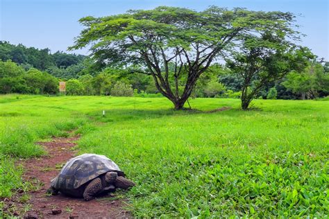 Galapagos Cruise: Wildlife Watching, Snorkeling & Hiking - 11 Days | kimkim