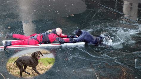 Im Eis eingebrochen Feuerwehrmann wollte Hund retten und stürzt selbst