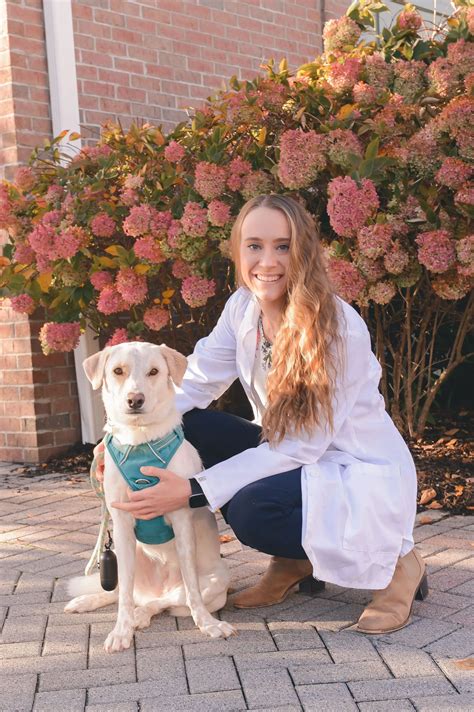 Butler Veterinary Hospital Your Local Veterinarian In Butler Nj