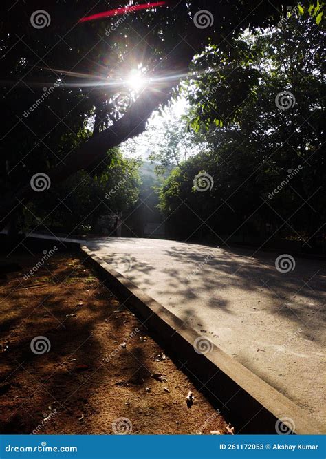 Early Morning Sun Shining from Trees in Hyderabad, India Stock Image