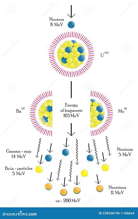 Nuclear Fission Infographic Diagram Showing Impact Neutron Uranium Atom