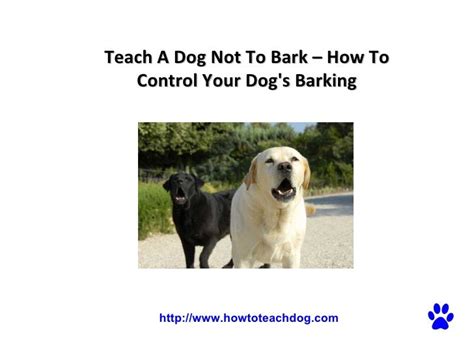 teach  dog   bark   control  dogs barking