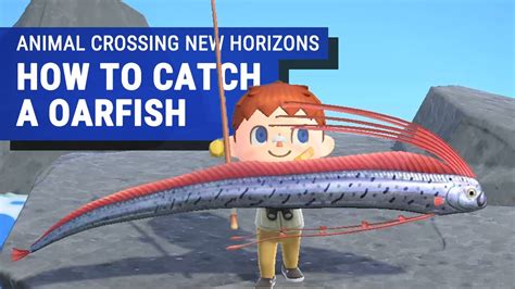 How To Catch Oarfish In Animal Crossing New Horizons Youtube