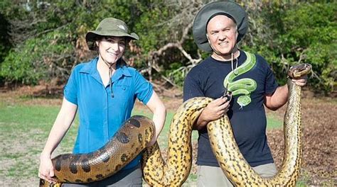 World’s largest snake species, Northern Green Anaconda, disovered in ...