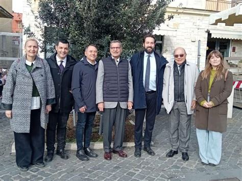 Genzano Ha Celebrato L Edizione 2024 Della Festa Dell Albero FOTO