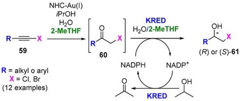 Molecules Free Full Text Application Of Biobased Solvents In