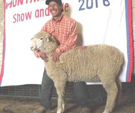 Montana Columbia Sheep Breeders Association - Montana Columbia Sheep ...