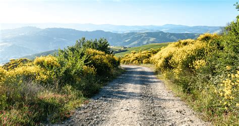 Via Francigena From Viterbo To Rome Follow The Camino