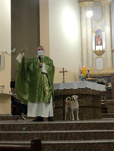 15 Wholesome Pics Of A Brazilian Priest Who Encourages Animal Adoption