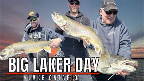 Big Lake Trout Day At The Niagara Bar Lake Ontario Youtube