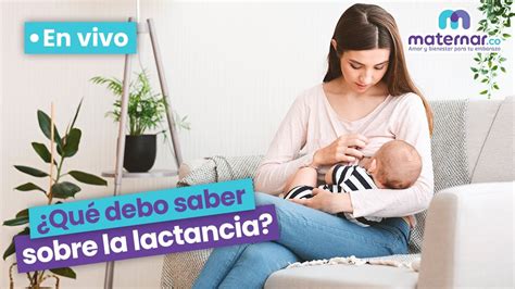 EN VIVO Resuelve Tus Dudas Sobre La Lactancia Materna Maternar Co