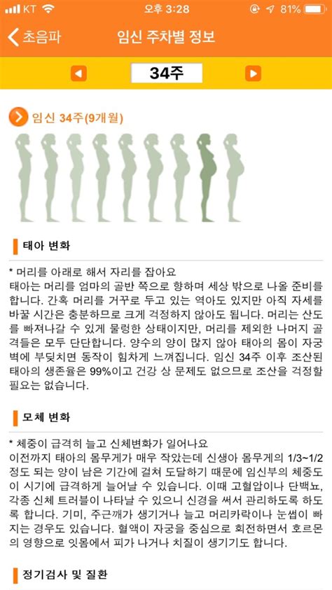 임신일기 33 34주 임신9개월증상임산부배탈분만전검사태동검사수액 네이버 블로그