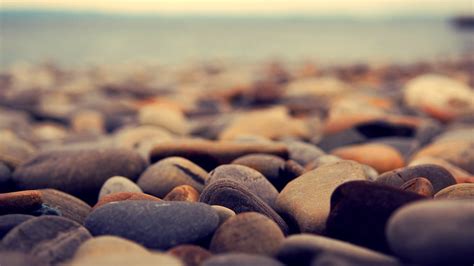 Wallpaper Depth Of Field Sea Rock Sand Stones Wood Morning