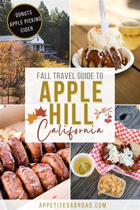 Your Guide To Apple Hill Farms Artofit