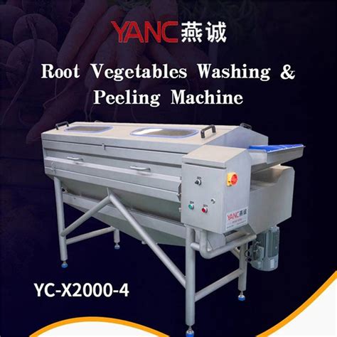 Carrot Potato Vegetable Washer Fruit Washing Machine For Hotel China