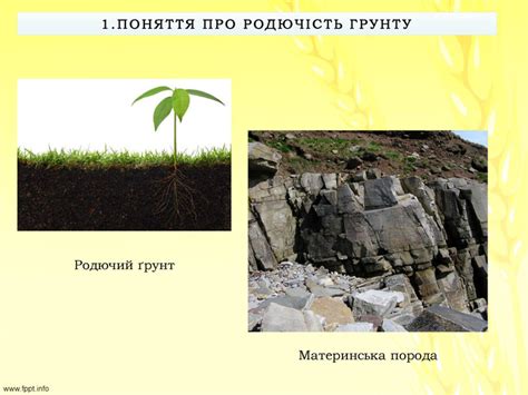 Заняття, Презентація "Родючість ґрунту"