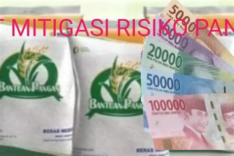 Sama Sama Bantuan Pangan Ternyata Ini Perbedaan Blt Mitigasi Risiko