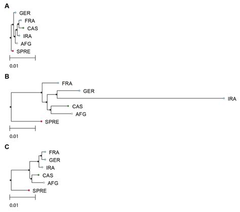 Figure Supplement 2 Neighbor Joining NJ Tree Comparisons With