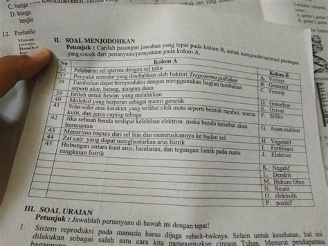 Contoh Soal Menjodohkan Untuk Sd Homecare24