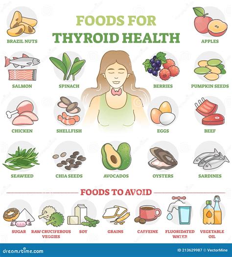 Foods For Thyroid Health As Good Products Choice For Wellness Outline