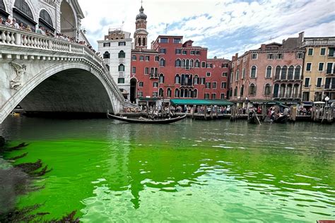 Mystery behind bright green water in Venice Canal solved, officials say ...