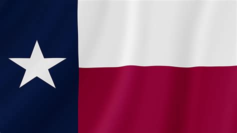 Texas State Waving Flag Realistic Flag Animation 39000500 Stock Video