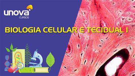 Curso De Biologia Celular E Tecidual I Gratuito Unova Cursos Youtube