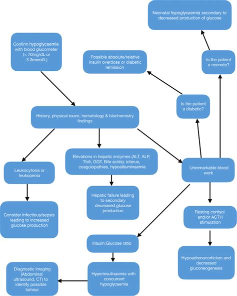 Diagnostic Algorithm For Hypoglycaemia Download Scientific Diagram