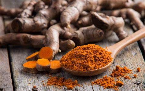 Bienfaits du curcuma une épice aux multiples vertus pour la santé